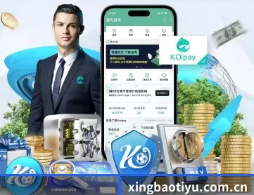 星宝体育 APP 深度功能